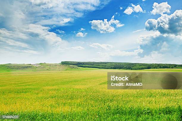 Montañoso Y El Cielo Azul Foto de stock y más banco de imágenes de Agricultura - Agricultura, Aire libre, Ajardinado