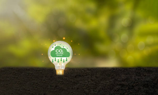 istock Renewable resource concept to save, reduce global warming, light bulb on earth showing icon, reduce carbon emissions, protect 1746043423