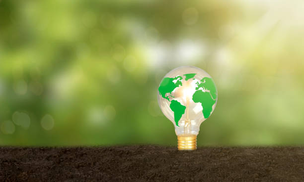 istock Renewable resource concept to reduce global warming, light bulbs on earth, fertile world map, alternative energy renewable 1746043441