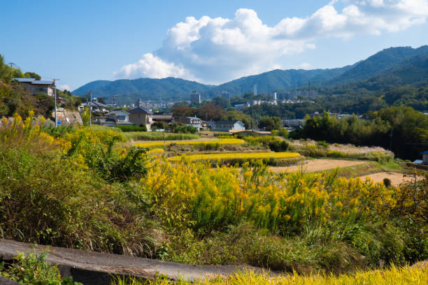 istock beautiful countryside scenery in Japan 1746050618