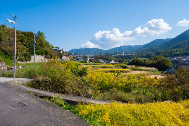istock beautiful countryside scenery in Japan 1746050622