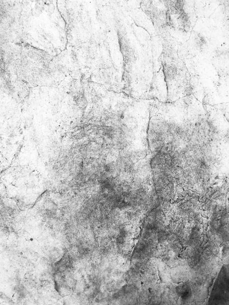 istock Old cement wall with crack monochrome background 1746086318