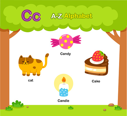 Alphabet Letter C education vocabulary illustration vector