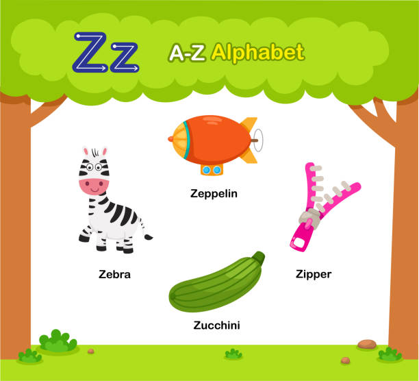 ilustrações de stock, clip art, desenhos animados e ícones de alphabet letter z education vocabulary illustration vector - book sheet education student