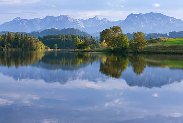 A mountainous forest reflecting in a lake stock photo