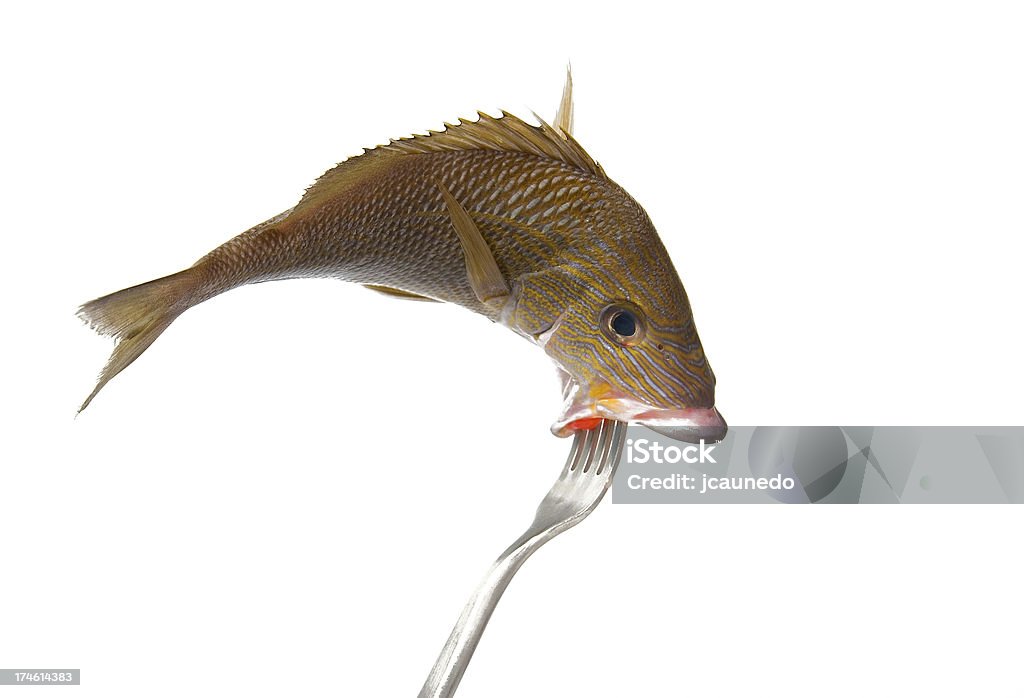 Forchetta di pesce - Foto stock royalty-free di Afferrare