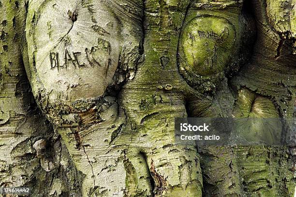 Photo libre de droit de Écorce Dun Vieil Arbre banque d'images et plus d'images libres de droit de Amour - Amour, Arbre, Couleur noire