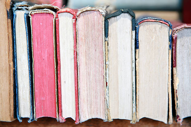 istock Row of Antique Books 174614476