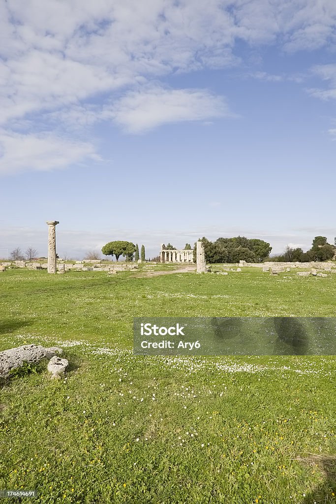 Tempio di Atena (Paestum, Italia - Foto stock royalty-free di Antica Grecia