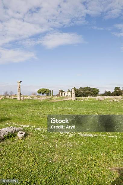 Tempio Di Atena Paestum Italia - Fotografie stock e altre immagini di Antica Grecia - Antica Grecia, Antica Roma, Archeologia