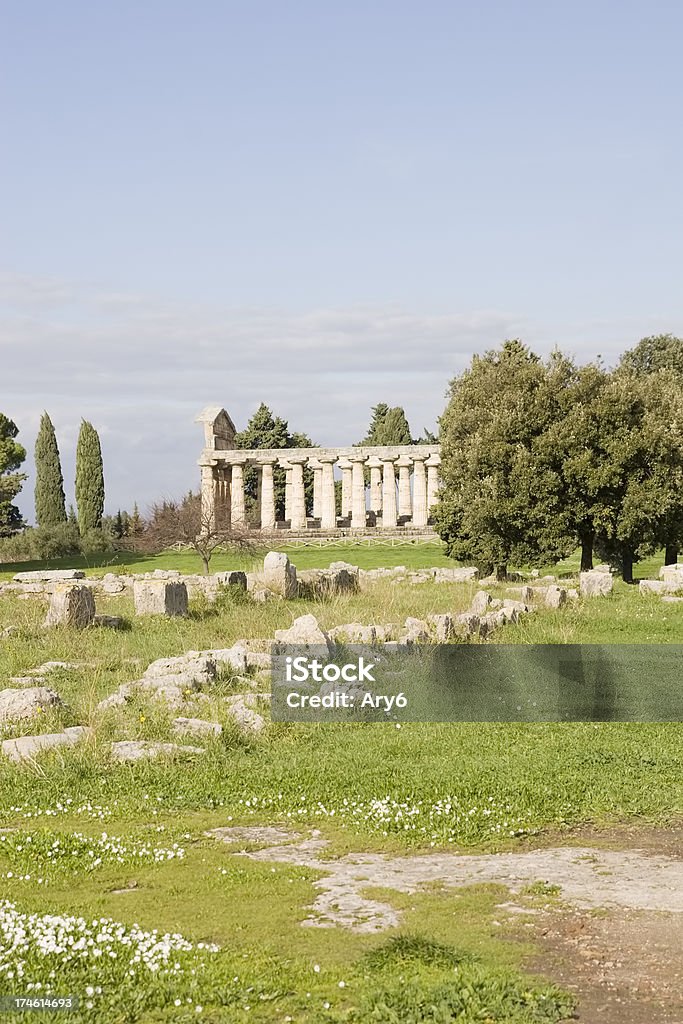 Tempio di Atena (Paestum, Italia - Foto stock royalty-free di Antica Grecia