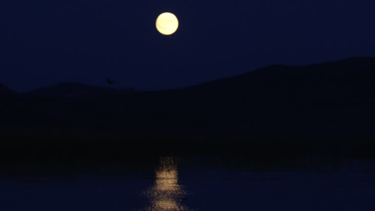 Clear night with a fool moon in Vransko jezero, Croatia