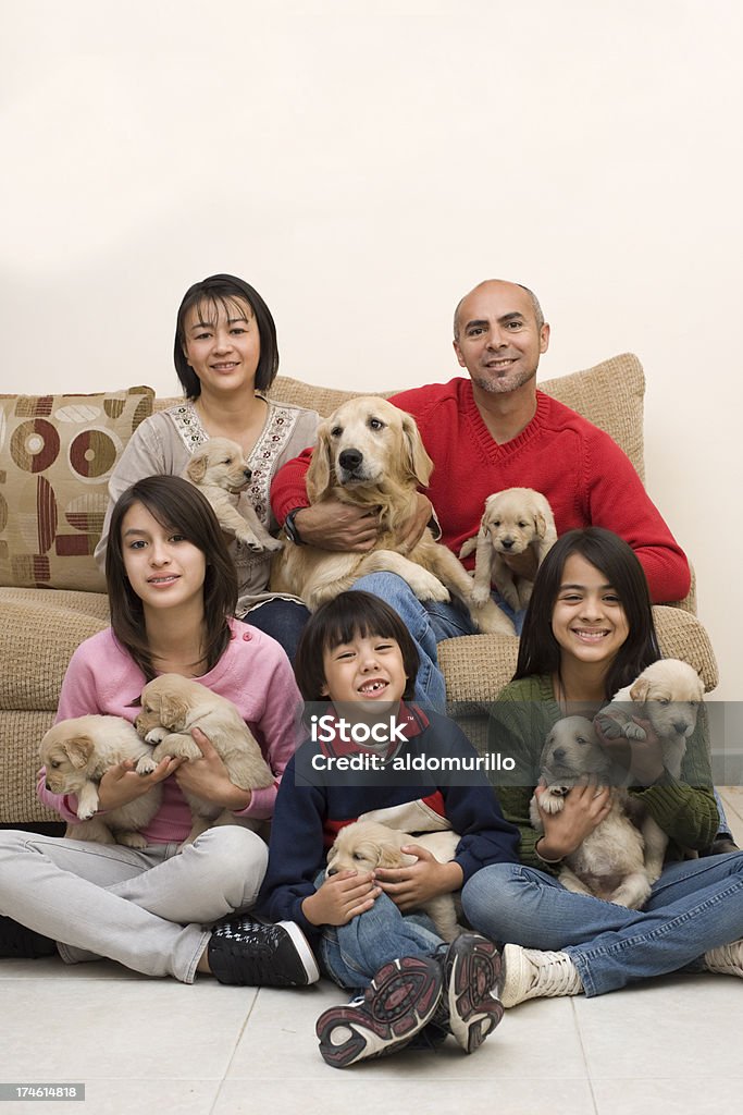 Adorável família de Pentecostes os cachorros - Royalty-free Adolescente Foto de stock