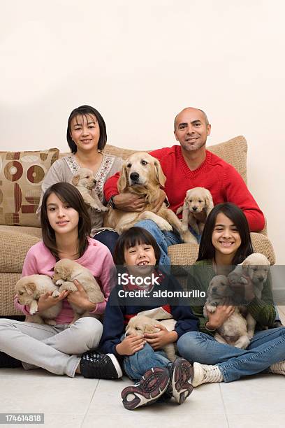 Adorável Família De Pentecostes Os Cachorros - Fotografias de stock e mais imagens de Adolescente - Adolescente, Adolescência, Alegria