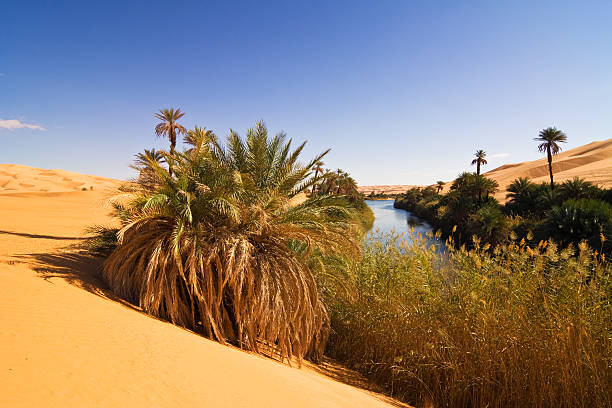 istock Um el Ma Oasis, Mandara lake , Libyan Sahara Desert, Libya 174615410
