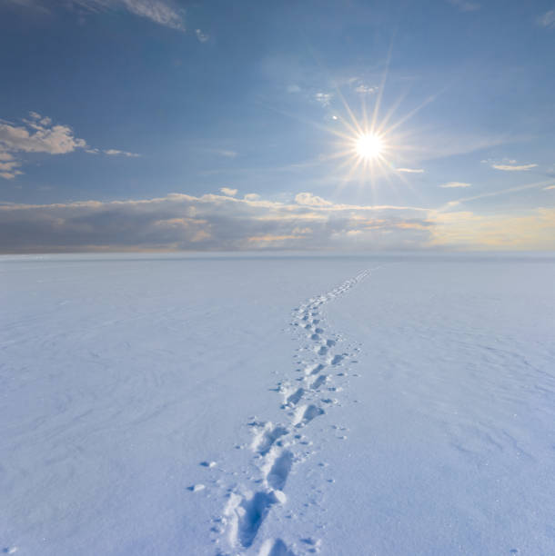 istock snowbound plain at the bright  sunny winter day 1746155145
