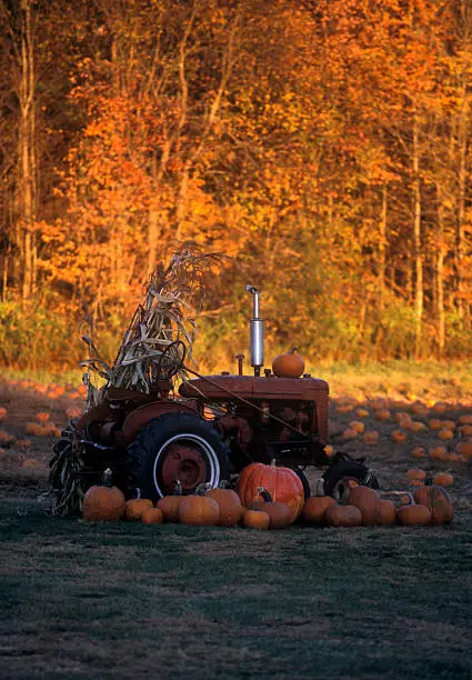 Photo of Pumpkin Patch and Tractor
