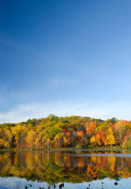 ciel d'automne. - autumn sky nobody lake photos et images de collection