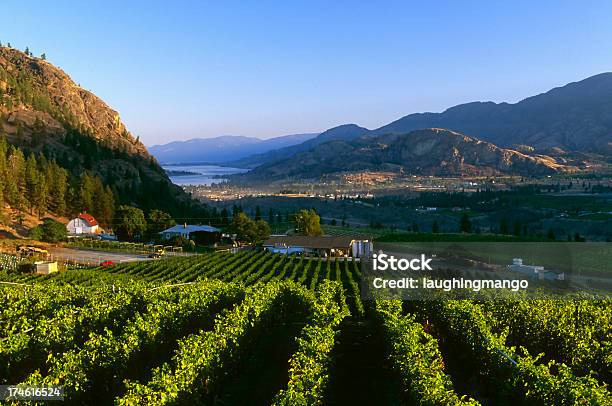 Foto de Vinícola Rural Panorâmica Do Lago e mais fotos de stock de Colúmbia Britânica - Colúmbia Britânica, Penticton, Vinícola