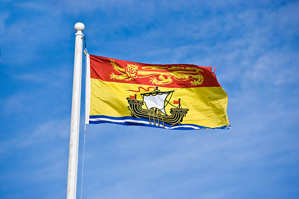 Flag blowing in the wind