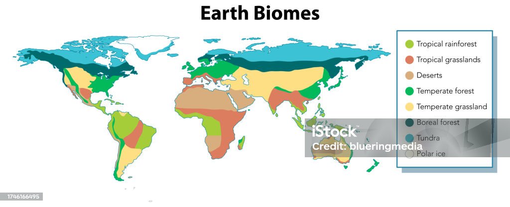 Biomes Large Map Colorful Biomes A World Map Divided By Regions Stock Illustration ...