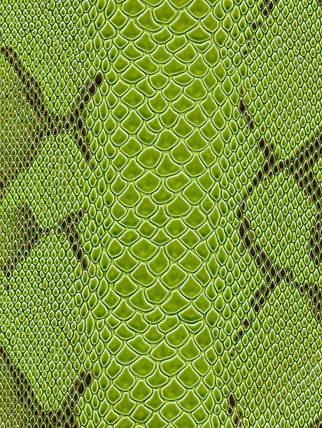 istock Green snake skin texture background 174616785
