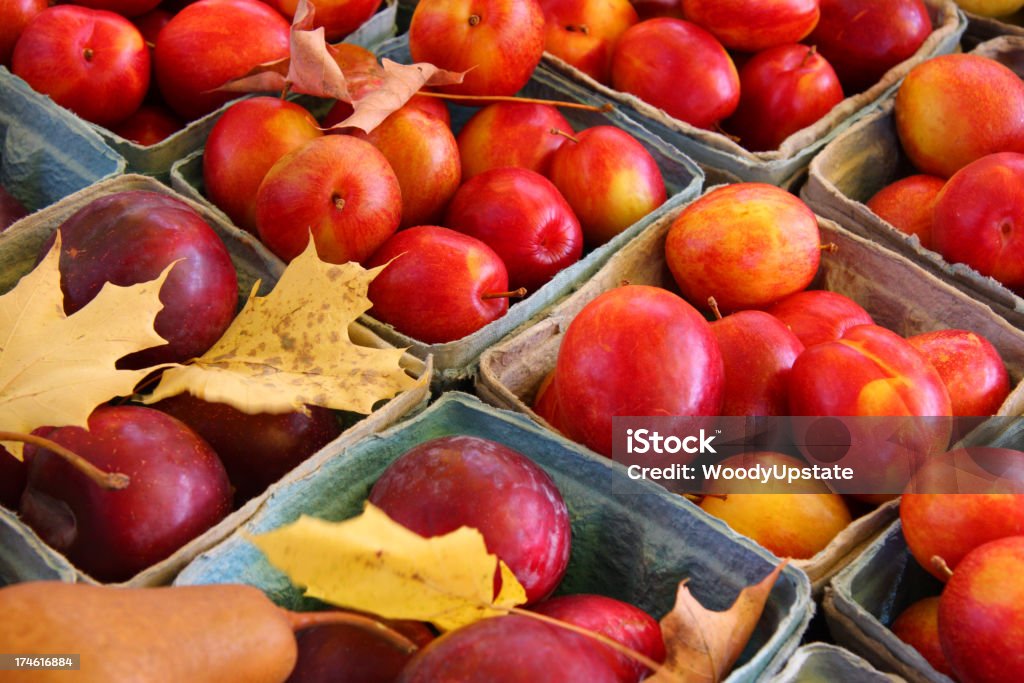 Manzanas y Ciruelas - Foto de stock de Agricultura libre de derechos