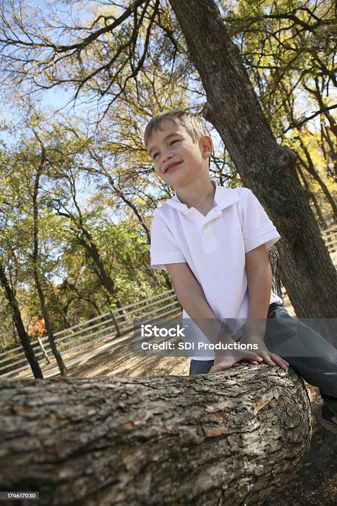 Menino dia sonhando sentado em uma árvore - Foto de stock de Adolescência royalty-free