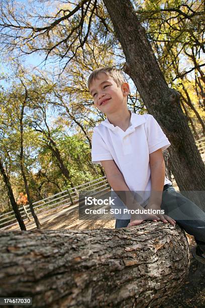 Foto de Menino Dia Sonhando Sentado Em Uma Árvore e mais fotos de stock de Adolescência - Adolescência, Aspiração, Azul