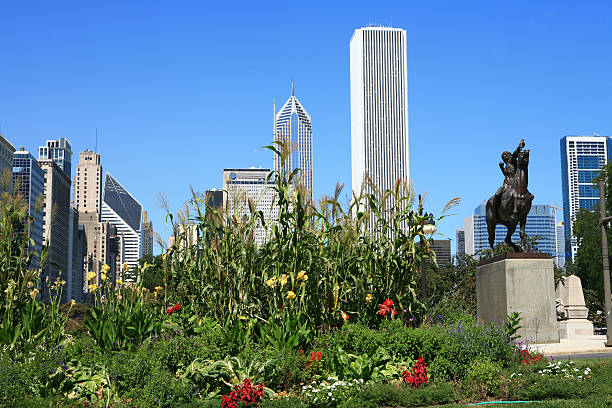 istock Chicago Cityscape with flora and statue 174617363
