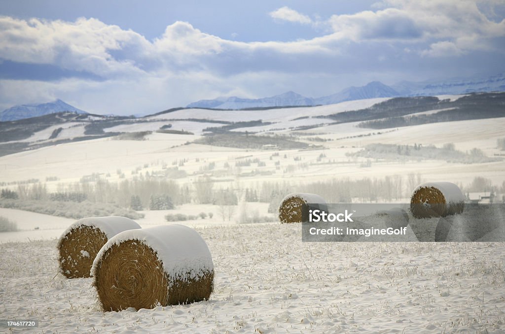 Альберта Winter - Стоковые фото Альберта роялти-фри