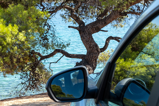 The car is next to the pine tree growing on rocks near the water on the beach in Halkidiki