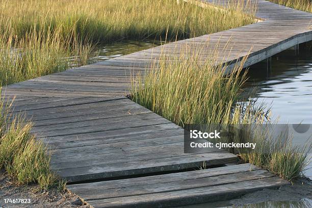 Bagno Promenady - zdjęcia stockowe i więcej obrazów Bagno - Bagno, Bez ludzi, Bulwar