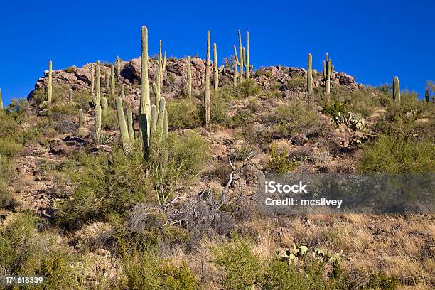 Montagne Del Deserto - Fotografie stock e altre immagini di Ambientazione esterna - Ambientazione esterna, Arizona, Blu