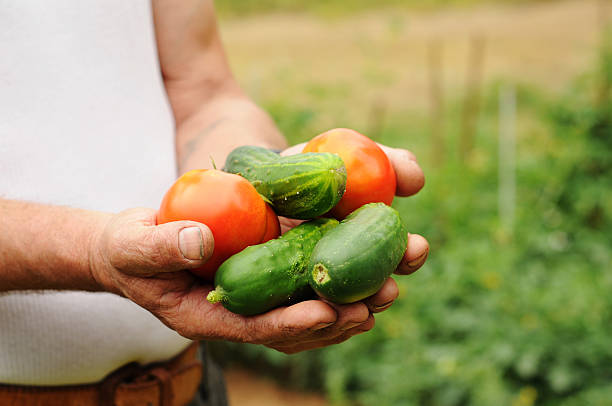 istock handfull of vegetables 174618403