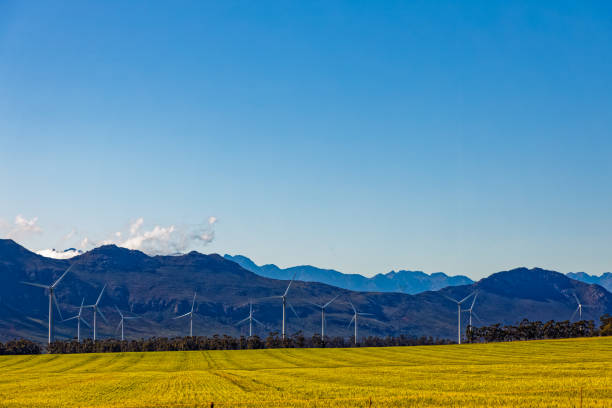 istock Gouda wind farm and green wheat fields 1746184891