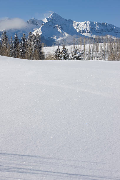 istock Winter scenic Colorado 174618613