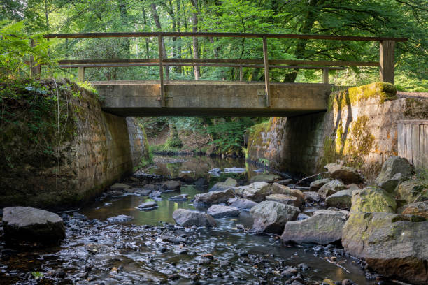 istock Bridge over a small stream in the New Forest, Hampshire, UK 1746186596