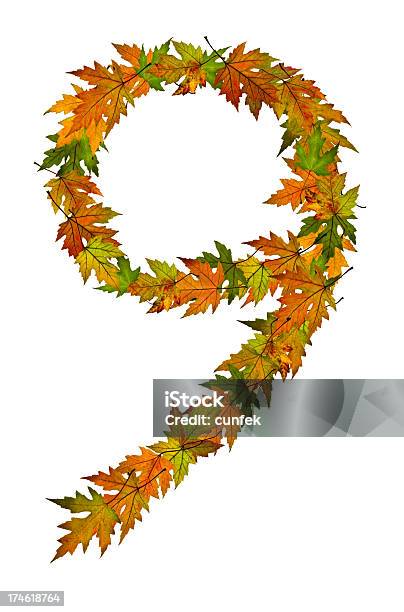 Number 9 Stock Photo - Download Image Now - Arrangement, Arranging, Autumn