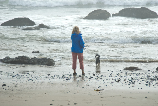 A woman and her dog at the shore looking out to sea.