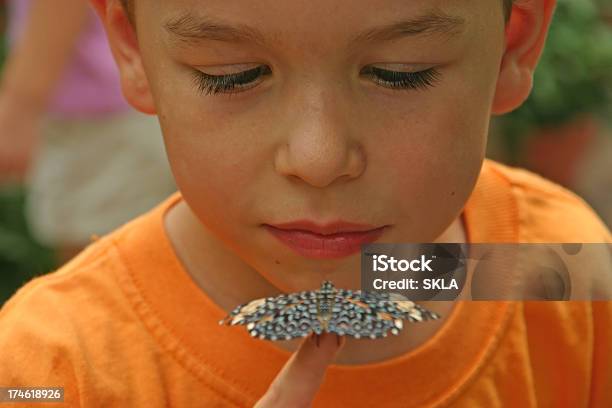Młody Chłopiec Z Motyl Siedzi Na Jego Palec - zdjęcia stockowe i więcej obrazów 6-7 lat - 6-7 lat, Biały, Brązowy