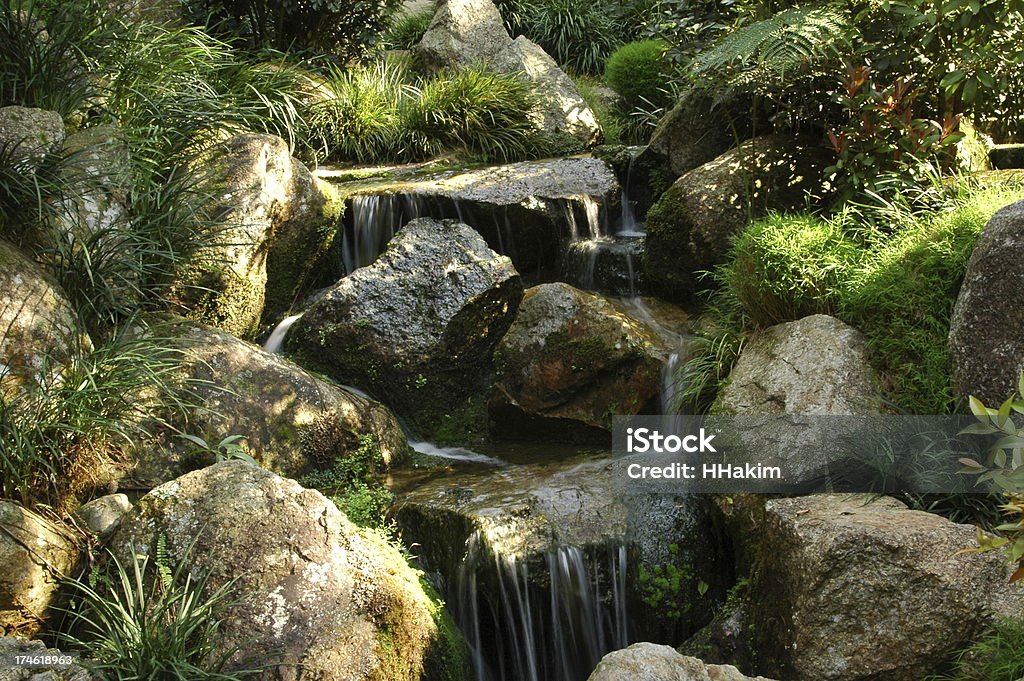 Jardin japonais-mini-Cascade - Photo de Arbre libre de droits