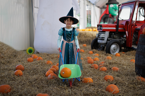 young Chinese girl with witch costume picking pumpkin in the pumpkin patch