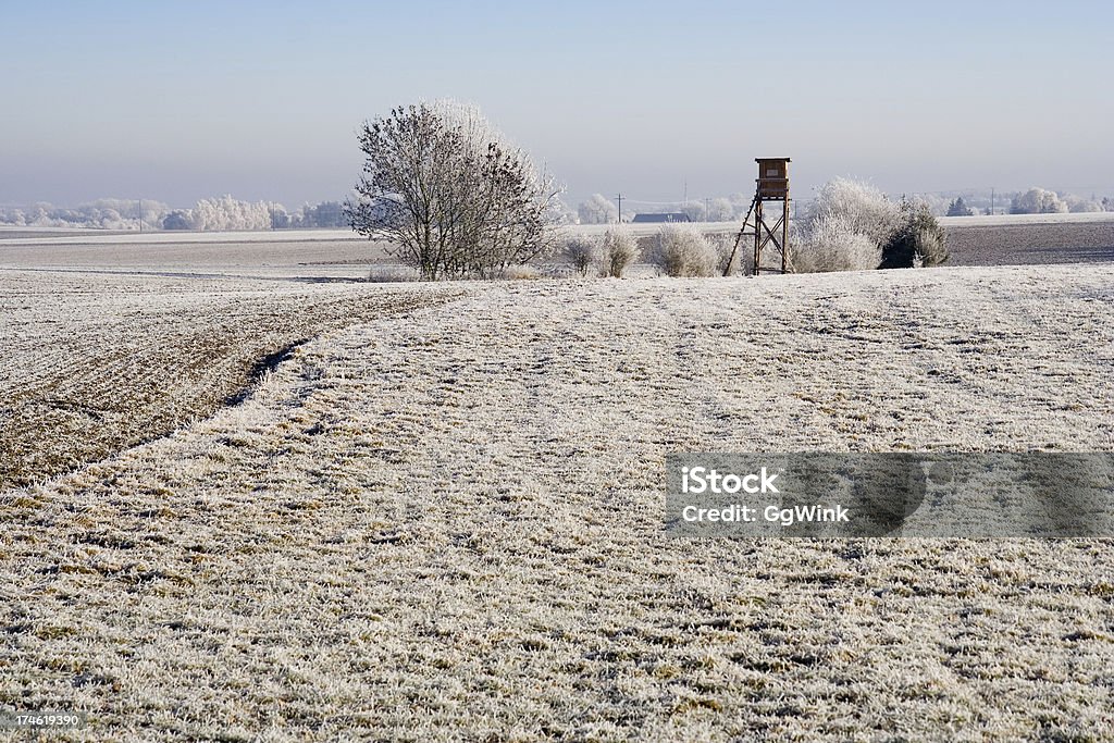 Bavarian Inverno - Royalty-free Campo lavrado Foto de stock