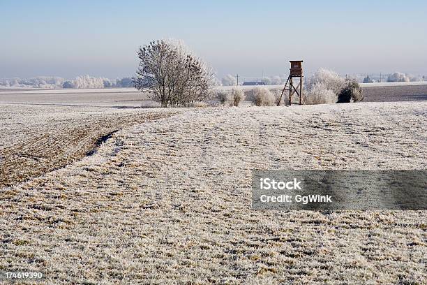 Bavarian Inverno - Fotografias de stock e mais imagens de Campo lavrado - Campo lavrado, Inverno, Alemanha