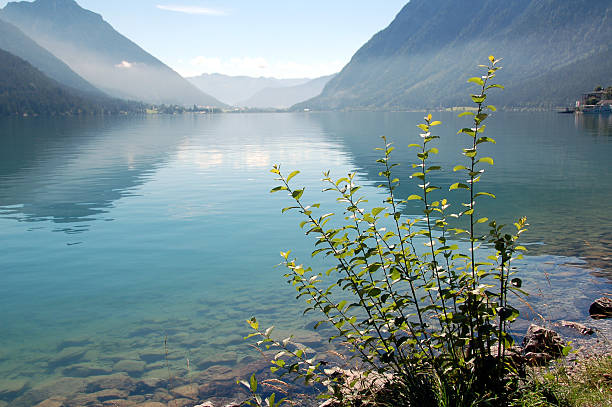 istock Lake Achensee in the Morning 174619444