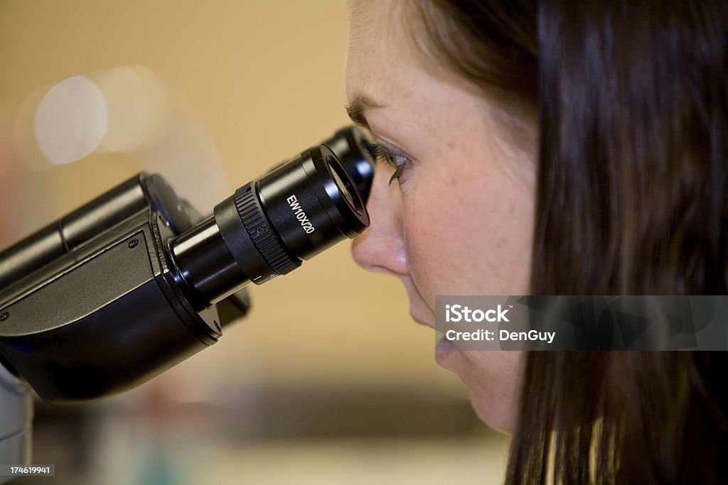 Vétérinaire Tech - Photo de Beauté libre de droits