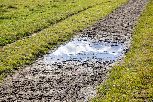 Puddle on a trail for riding horses in the large public park called Dyrehaven north of Copenhagen. The park is part of a UNESCO World Heritage Site called The Kings North Zealand