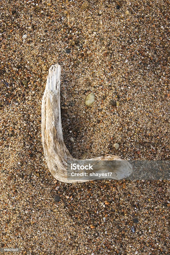 Alphabet letter L A piece of driftwood on the beach resembles the letter L from the English alphabet. Alphabet Stock Photo