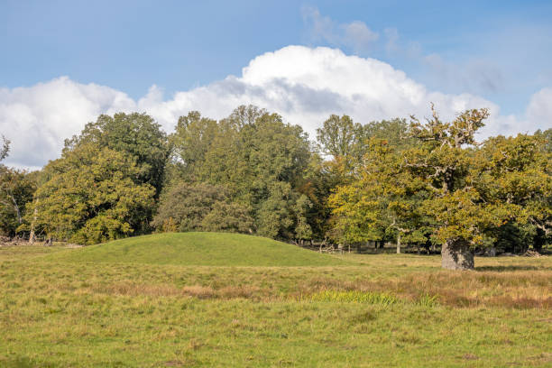istock Oak tree at autumn in front of a Danish bronze age mound 1746206484